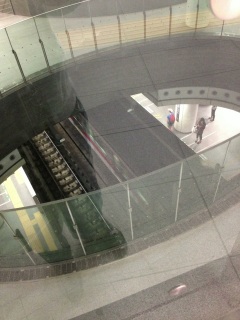 ���}�̏a�J�w