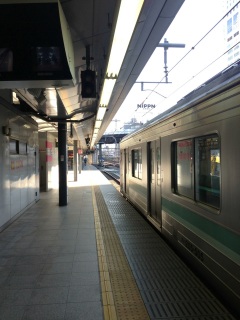 �ԑ̂̌������