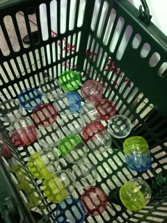 A�����B����̕�^-^