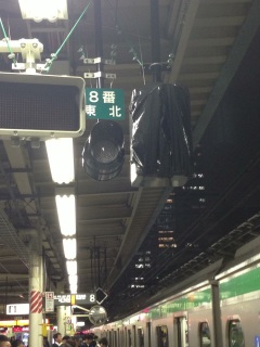 �����w8�Ԑ�