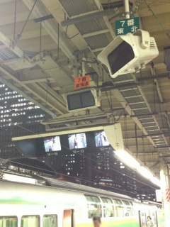 �����w7�Ԑ�