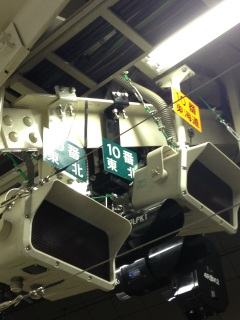 �����w10�Ԑ�