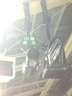 �����w10�Ԑ�