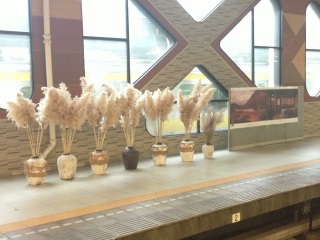 ������Ă�́c�c