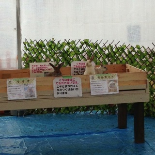 �E�T�M����I