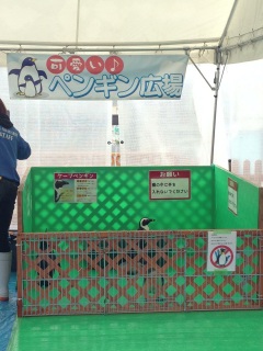 �y���M������I