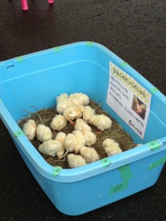 �҂�҂�҂�҂�