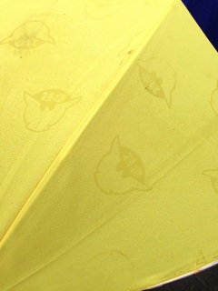 �G���Ɩ͗l�������o��P�c�I