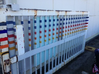 �J�V�I�y�A�F�̖傪