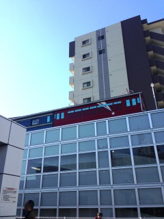 �����̏��