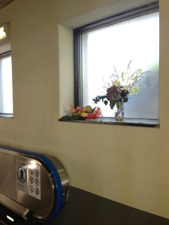 �H�̏���t�����Ă�������c�c