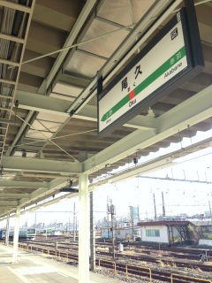 ����231���݂���