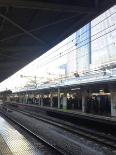 �����̏�H�����Ă�Ȃ�