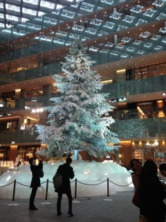 �c���[�����ꂢ�I