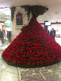 ����������