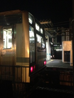 ����ł���