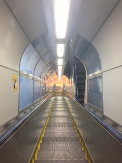 �����w��������