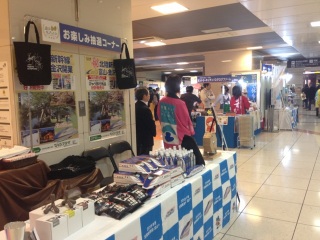 �x�R�̃t�F�A����Ă邼�c