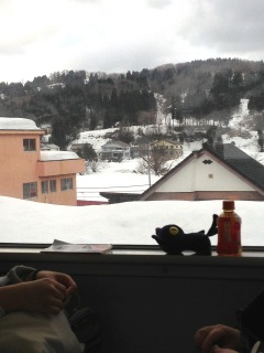 �ԑ���������