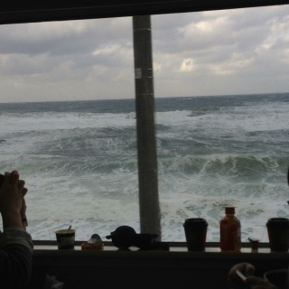 �r�g�̓��{�C