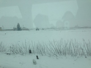 ��i�F������