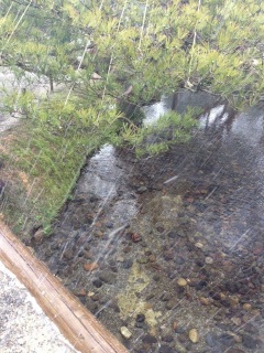 �߂��Ⴍ�����