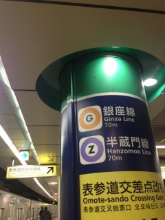 ���c�F�̌��ɂ����钌