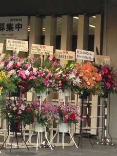 �^�C�A�b�v��i��֌W�҂��񂩂����������