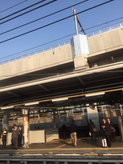 �����������̂�c�c�c�c�c�c