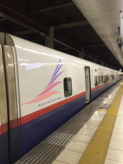 ���ꂢ�ȉH������