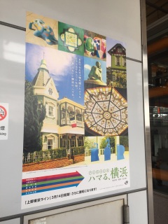 ���l�x��