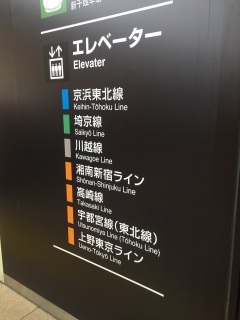 �`�[�������݂�