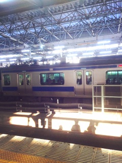 �V����531��