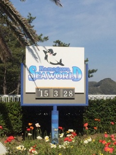 ���t����