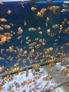 �N�}�m�~�`�`