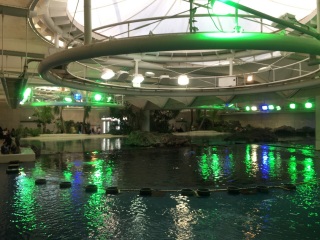 ��������݂������̂Ƃ���