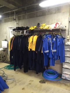 ���낢�날��