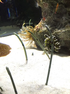 ���񂠂Ȃ��I