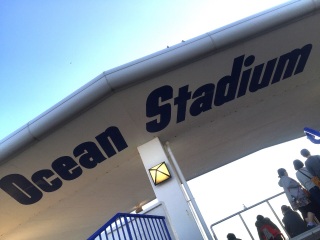 �V���`�̃V���[���݂��I