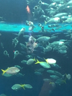 �������Ă�c�c�c