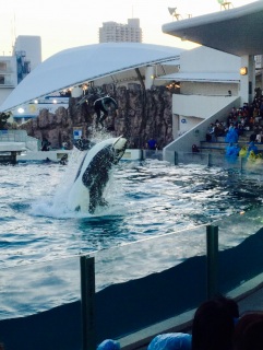 �����ρ[��