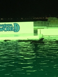 �O�^����