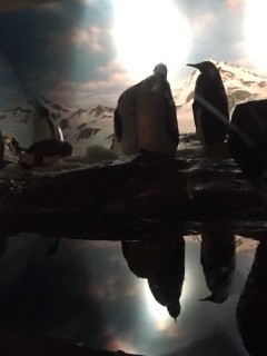 ���ʂ̔��˂����ꂢ