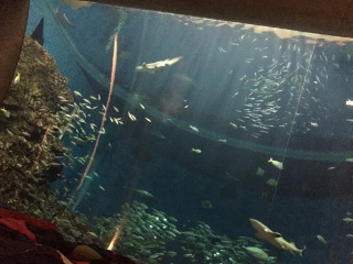 ������̒���