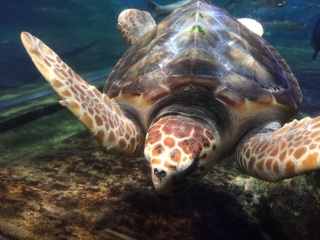 �E�~�K������