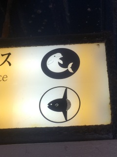 �s�N�g���킢��