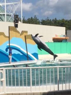 �C���J�V���[�I�I