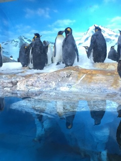 ���̃y���M������