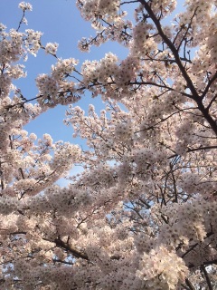 ������I�����ӂ�����