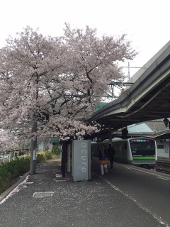 ���X�|�b�g�I